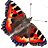 \"\"