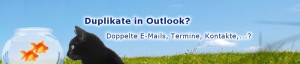 thumb_d_1cddo_slide1-300x64.jpg