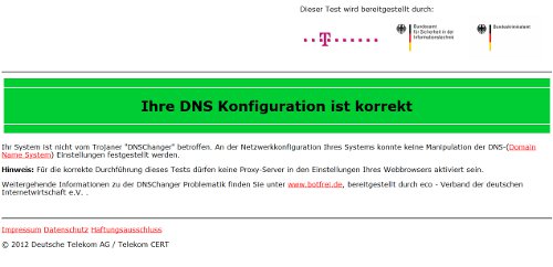 DNS_Einstellungen_in_Ordnung.jpg